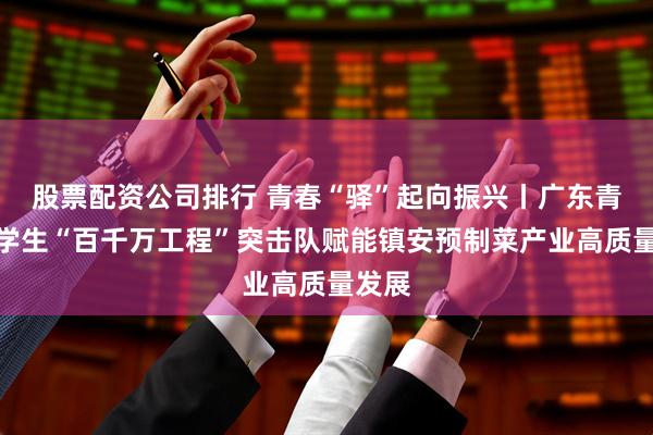 股票配资公司排行 青春“驿”起向振兴丨广东青年大学生“百千万工程”突击队赋能镇安预制菜产业高质量发展